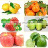 China Industrial Automatic Orange and Citrus Washing Machine thumbnail-6