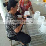 Cheap Chicken Feeder and Drinker for Sale thumbnail-6