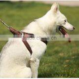Wholesale Pet Dog Leash and Dog Harness Vest thumbnail-1
