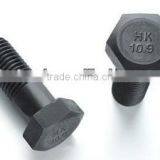 Best Quality Stainless Steel Bolt and Nut thumbnail-1