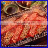 Camping Barbecue Net With Handle/ Chrome Plated Barbecue Grill Wire Mesh