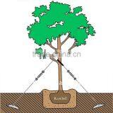 TREE ANCHOR KIT thumbnail-1