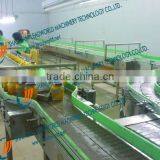 Dynamic Feeding Roller Conveyor for Canned Food Prouction Line thumbnail-1