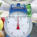 Manual Spring Kitchen Scale