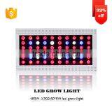 Low Price Aaa Quality High Power Seeds Vegetables From Shenzhen Factory thumbnail-2