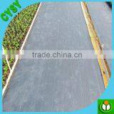 Black Greenhouse Wildly Use Anti Weed Mat Plastic Weed Mat thumbnail-5