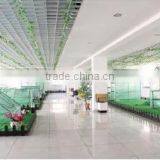 Zhejiang Hongguocun Leisure Goods Co., Ltd. company overview - view 1 thumbnail