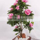 SJ3000102 Indoor Bonsai Peony Flower Plant Plastic Tree thumbnail-5
