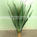 Factory Wholesale Fake Sanseviera Plant/agave Bonsai Plant Tree thumbnail-6