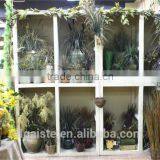 [SDZH/08-20/040208] Mini/huge Artificial Christmas Pine Tree/ring/flower for Home/hotel/office (new Combination of Este) thumbnail-1