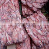 Frozen Red Fish thumbnail-2