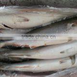 Frozen Amberjack thumbnail-1