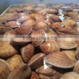 Cherry Stone thumbnail-5