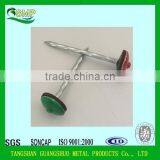Common Nails/Concrete Steel Nail/Roofing Nail China Manufacturer thumbnail-2