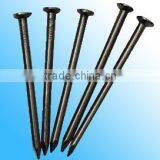 Polished Common Iron Nails With Factory Price thumbnail-1