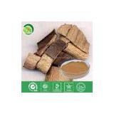 Eucommia Ulmoides Oliv