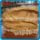 Dinosaur Resin Skeleton Head Model