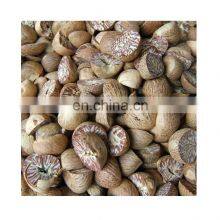 100% Natural Dried Betel Nut Good for Heath/Competitive Price From Vietnam Organic Raw Betel Nut