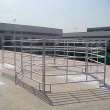 Galvanized Cattle Panel Tube 6 Ovals 6ft 10ft Long Utility Crowding Corral Panel / Livestock Pens thumbnail-4
