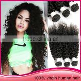Factory Direct Selling Human Hair Weave Vendors 7A Brazilian Unprocessed Virgin Hair 7A Brazilian Unprocessed Virgin Hair