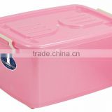 Colorful waterproof outdoor storage container/box