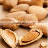 Argan Almond Oil Bio Natural thumbnail-2