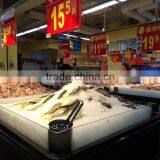 Industrial Ice Crusher for Block Ice thumbnail-3