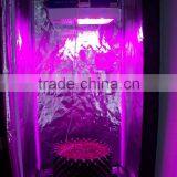 Lumini Dimmable Hydroponics Led Light for Plant thumbnail-4