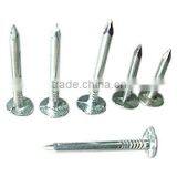 Stainless Steel Nail thumbnail-1