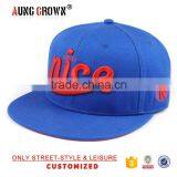Hip Hop Adjustable Hat/customize Hat Snapback/High Quality Snapback Hat thumbnail-2