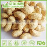 HACCP,ISO,BRC,HALAL Certification Sesame Cashew with best quality and hot price