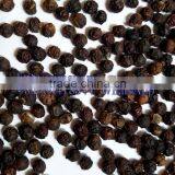 VIETNAM BLACK PEPPER /whatsapp +84963818434 thumbnail-4