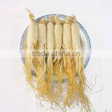 White Ginseng Root Powder thumbnail-4