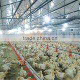 High Quality Low Price Automatic Poultry House Feeders for Parents Chicken thumbnail-4