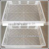 Hot Sale Hatching Out Tray for Egg Incubator Parts thumbnail-1