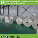 Supplier of PE Coated Paper thumbnail-4