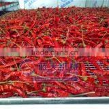 Low Consumption Dehydrator Type Chili Drying Machine thumbnail-5