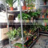 Plywood Flower Cart thumbnail-1