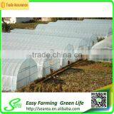 Searea Commercial Single-span Greenhouse thumbnail-4