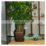 RAINS4439 Plastic Fashion Flowerpot,large Flower Pots,garden Decoration Products Wholesale thumbnail-2