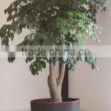 Fabric Planter Raised Bed Aeration Container Big Bag Bed thumbnail-1