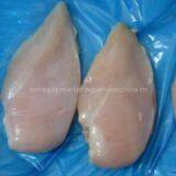 Best Quality Halal Frozen Chicken Breast