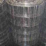 Standard Stainless Welded Mesh 8 Gauge Welded Wire Mesh