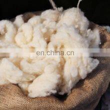 Mongolian Dehaired Cashmere Wool Top Fiber