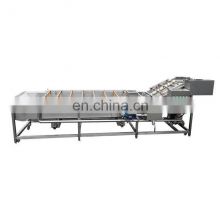 electric pineapple washing machines fruit and vegetable bubble cleaning machine fruit juice bottling production line