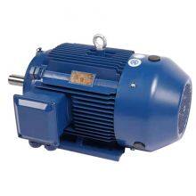 National Standard Class 1 of Ye5 Series, Wannan Electric Motor, Ye5-315s M-8/55kw 75kw/660v/b3/ip65/b3/b35/b5, Customization Available thumbnail-5