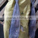 Whole Round Coryphaena Hippurus IQF Frozen Mahi Mahi Fish thumbnail-2