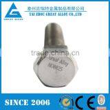 China Supplier Incoloy 825 Stud Anchor Bolt thumbnail-6