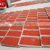 2016 bulk lycium chinensis with wholesale price