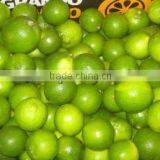 Fresh Lemon & Lime New Crop thumbnail-3